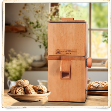 Mulini di Salisburgo