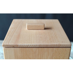 Mulini di Salisburgo