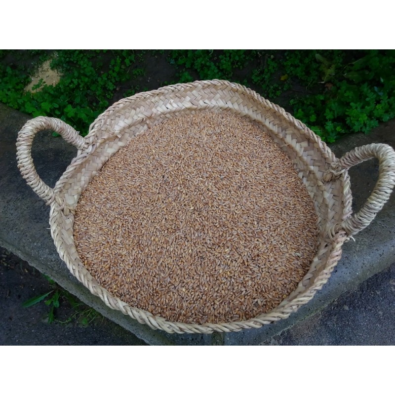 Mulino Manuale Per Grano SABUIDDS - Macina Farina In Casa Con Acciaio Inox - Foto 6